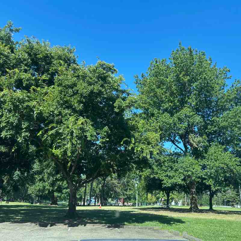 RJ post 1