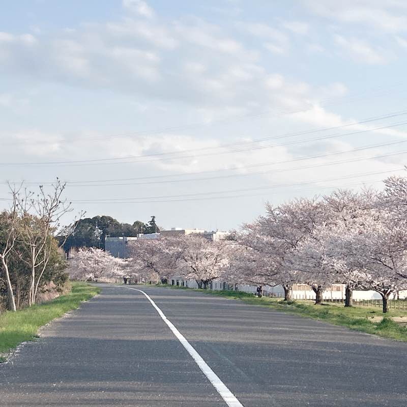 毎日3000歩以上歩く anna post image