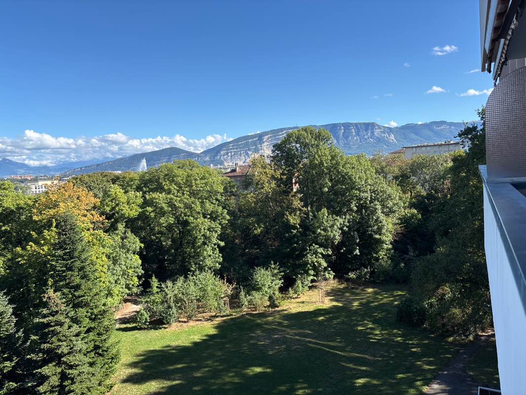 walking near me in Parc de Vermont in autumn
