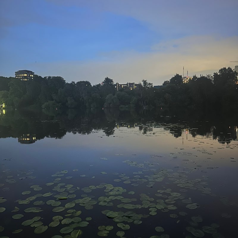 Москва - Реда-Виденбрюк Anastasia post image