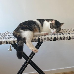 lj profile