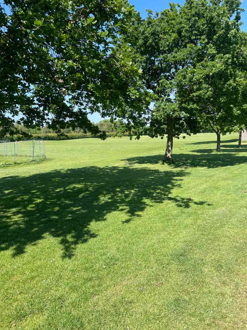 walking near me in Corkagh Park in spring