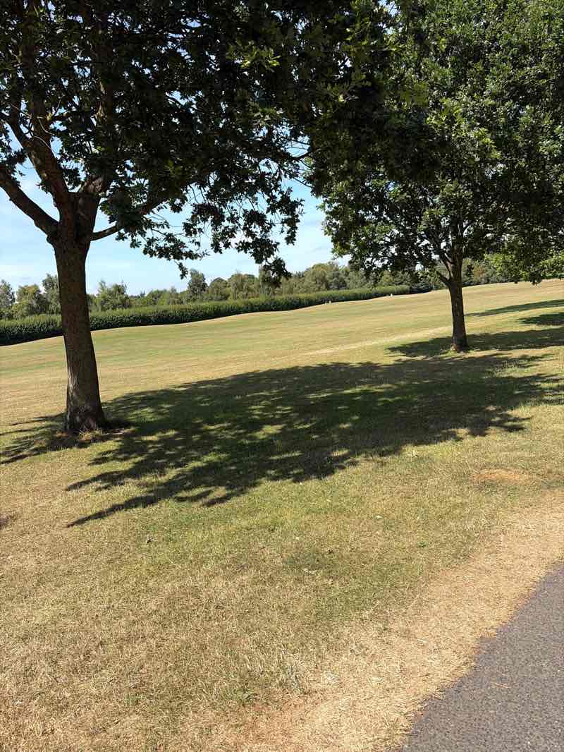 walking near me in Corkagh Park in summer