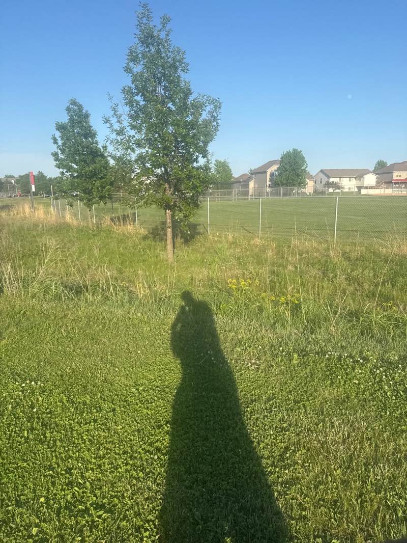walking near me in Westminster Park in summer