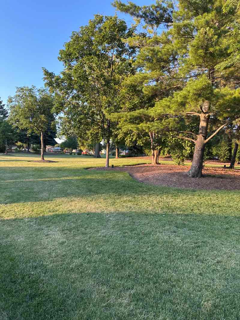 walking near me in Oak Park in summer