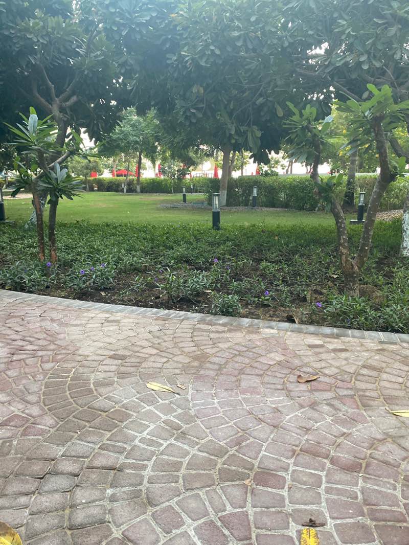 walking near me in Arc Communal Park in autumn