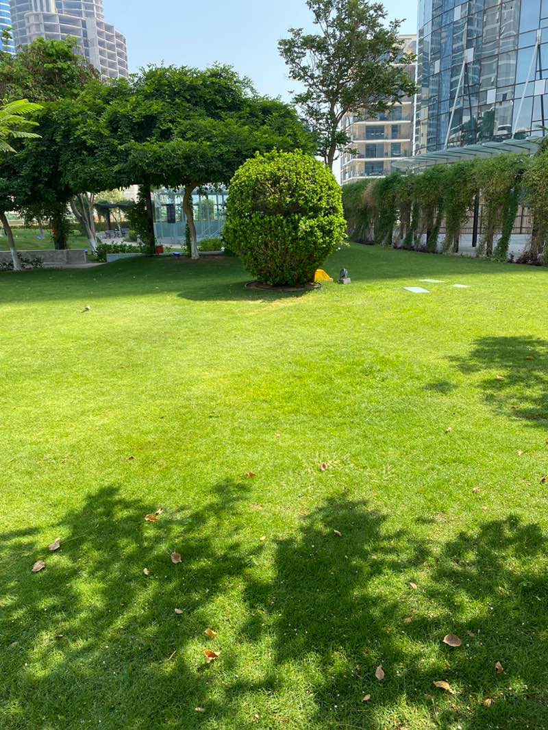 walking near me in Sun Tower Park and Play Area in spring