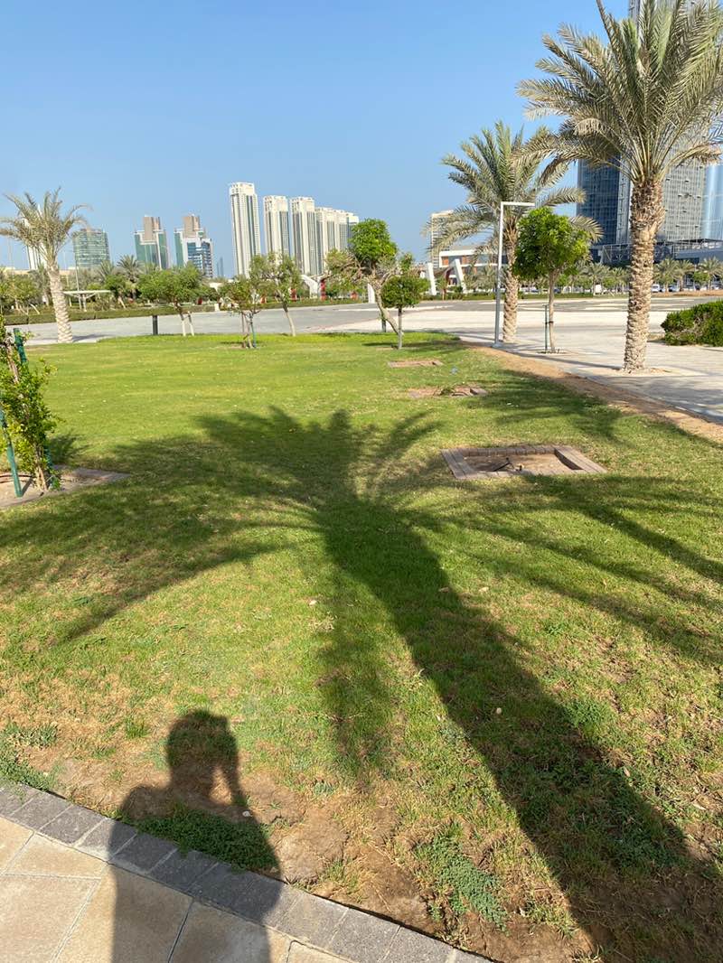 walking near me in Shams Park in spring