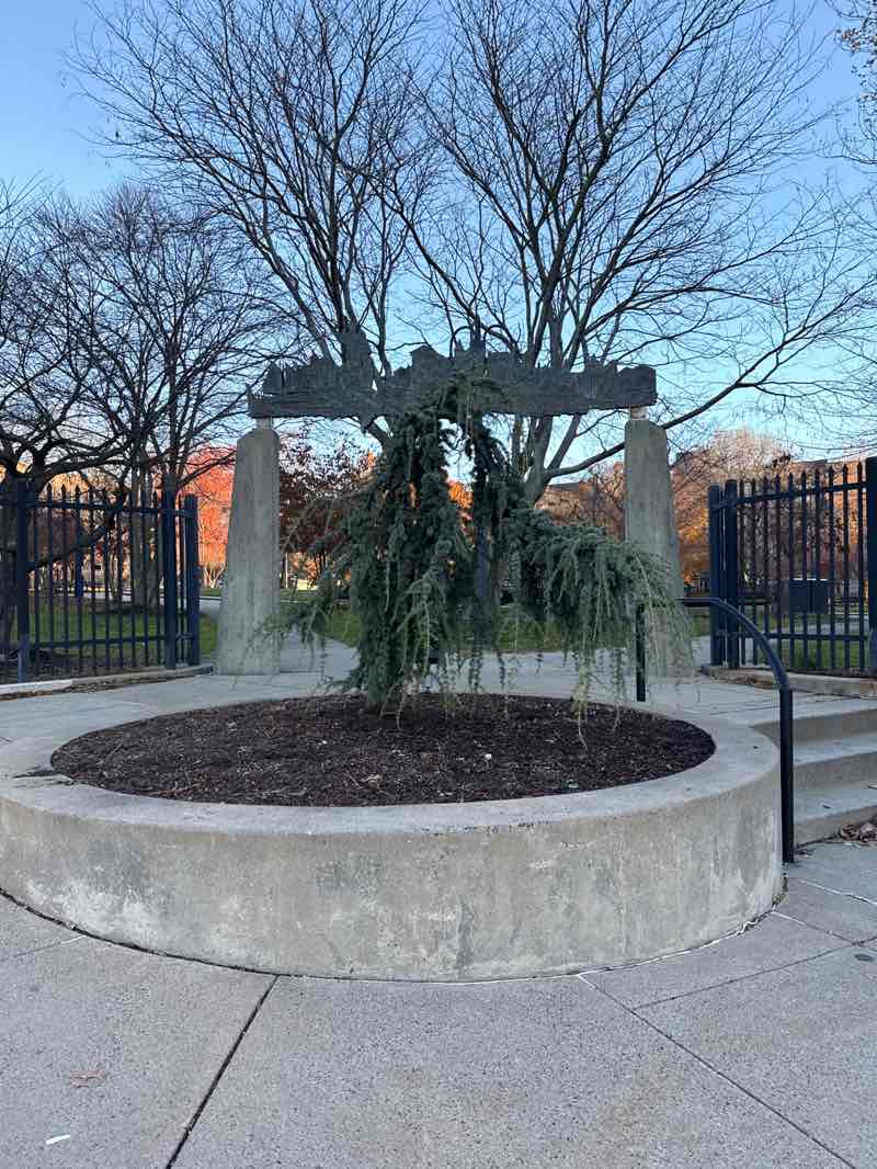 walking near me in Amistad Park in winter