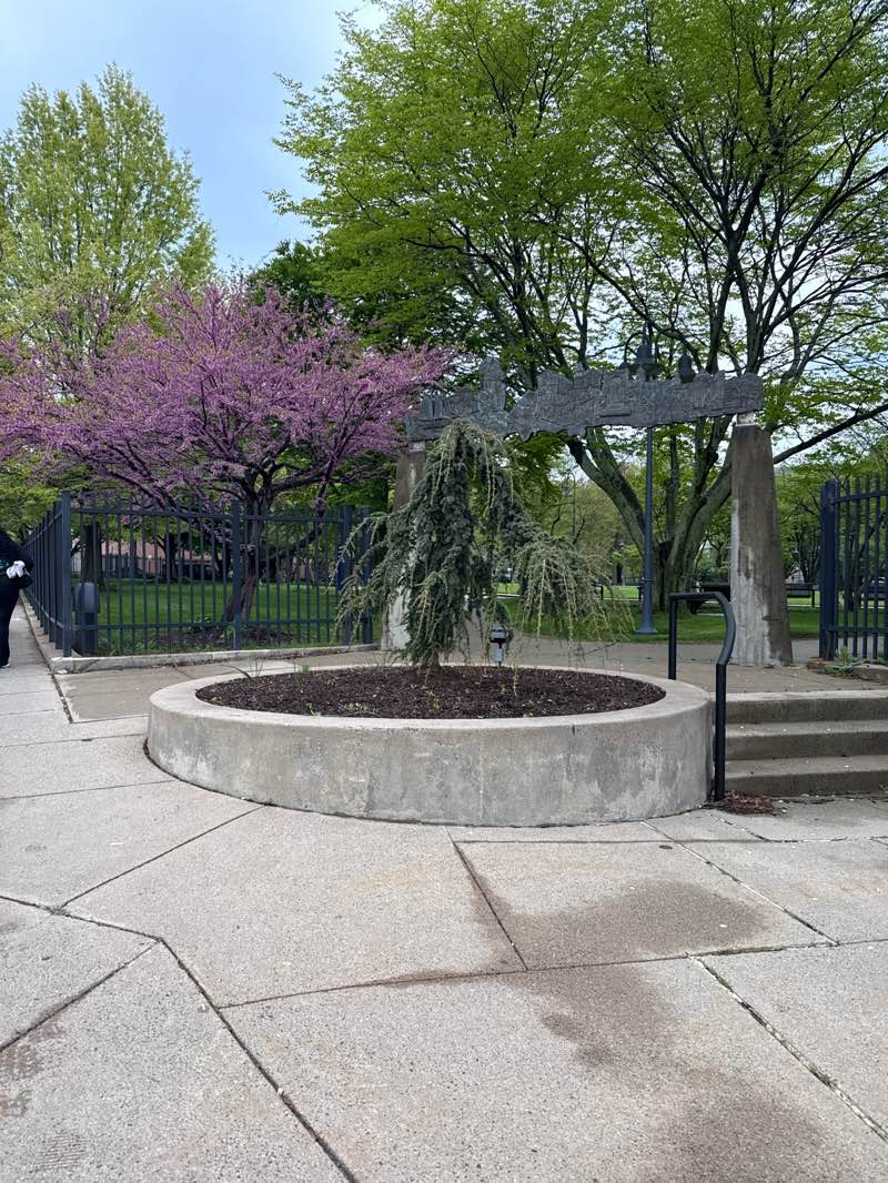 walking near me in Amistad Park in spring