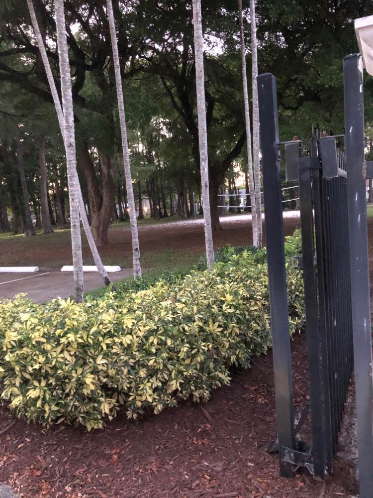 walking near me in Veterans Park in spring