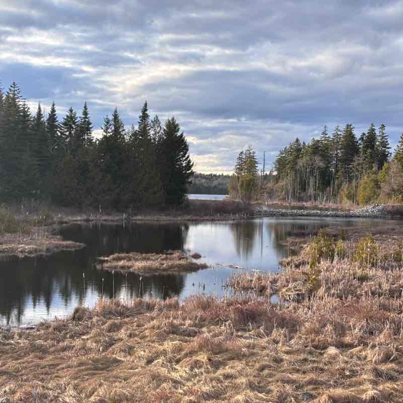 Xerox NA Channels Team Kimberley post image