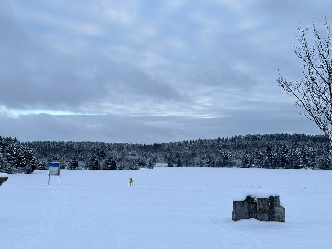 walking near me in Little Reservoir Park in spring