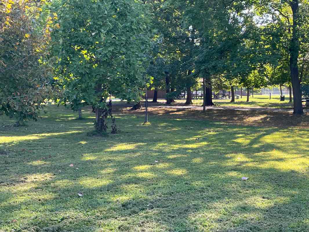 walking near me in Neshaminy State Park in autumn