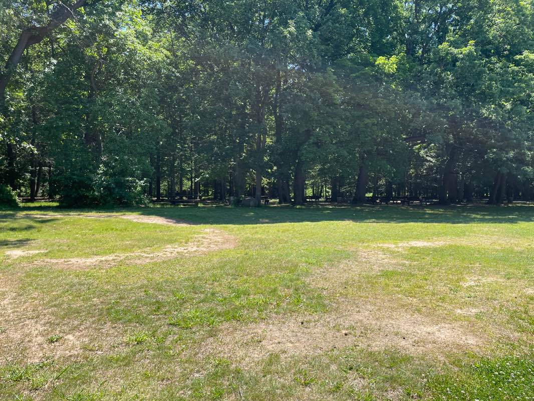 walking near me in Neshaminy State Park in summer