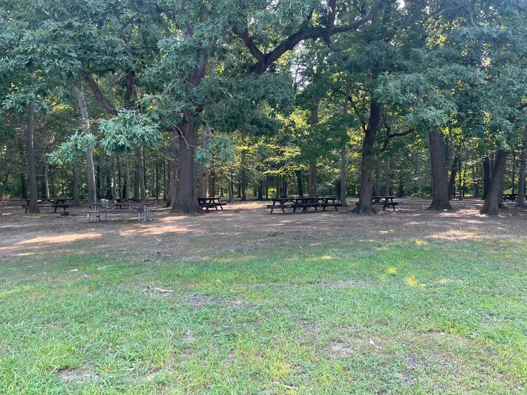 walking near me in Neshaminy State Park in summer