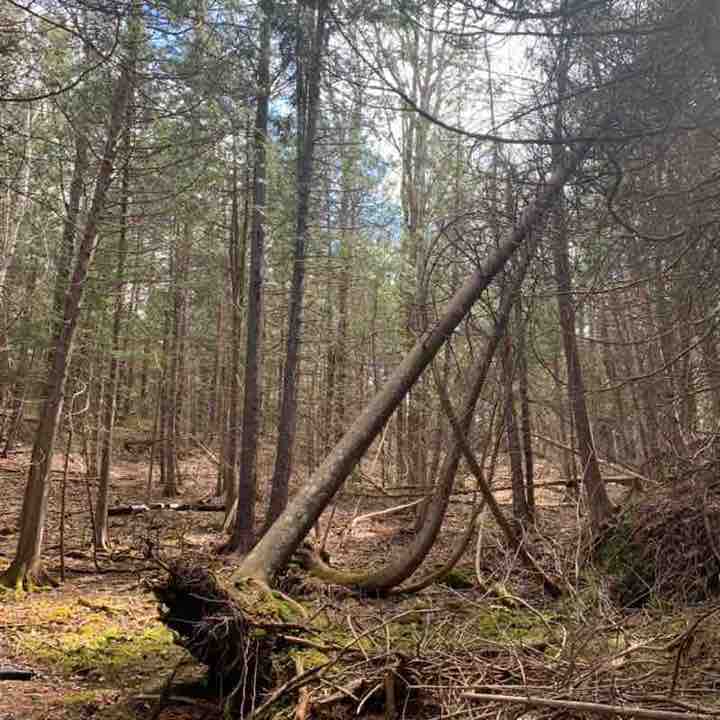 Xerox NA Channels Team Michi (The Flash) post image