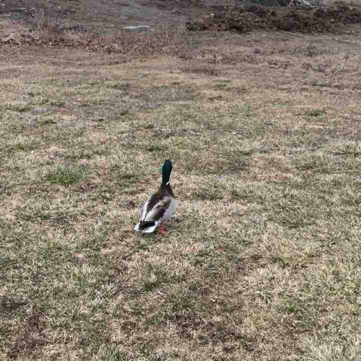 Xerox NA Channels Team Michi (The Flash) post image