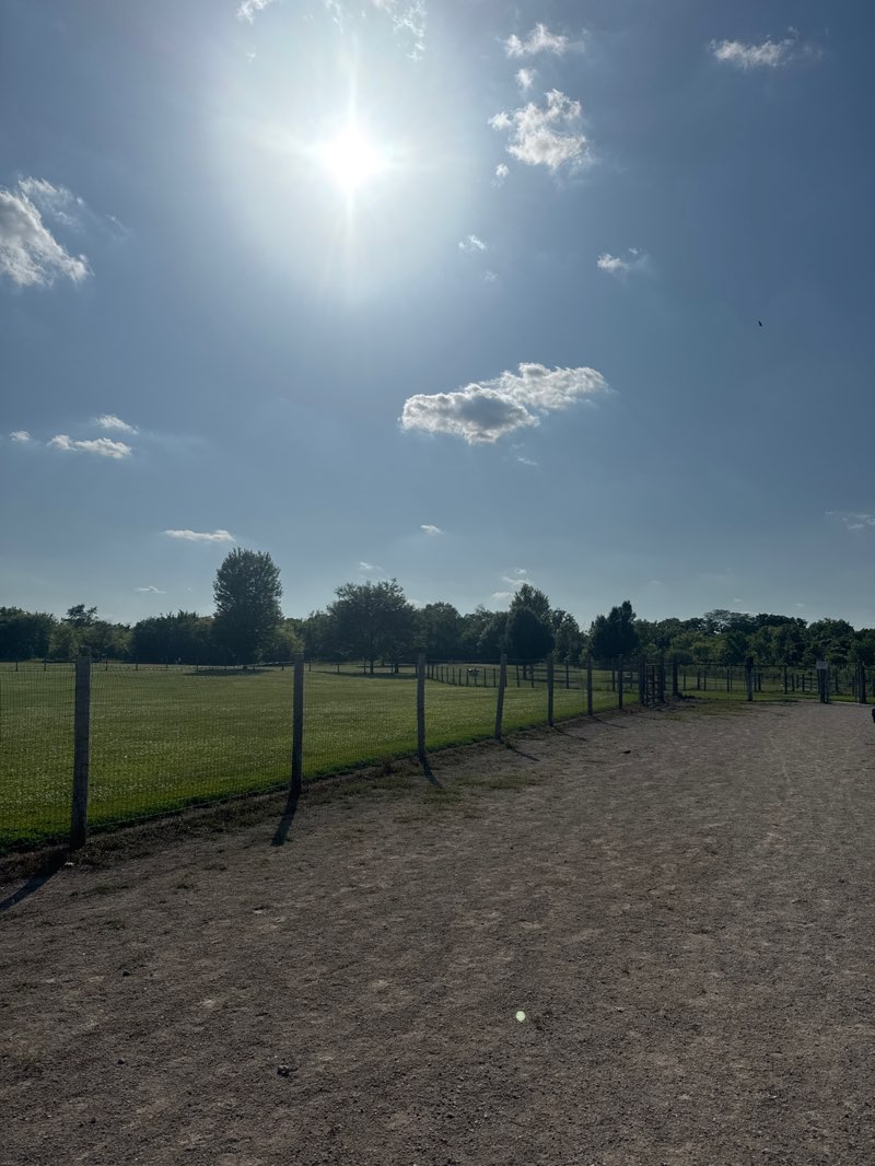 walking near me in Cheyenne Park in summer