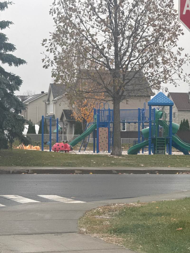 walking near me in Parc Castonguay in autumn