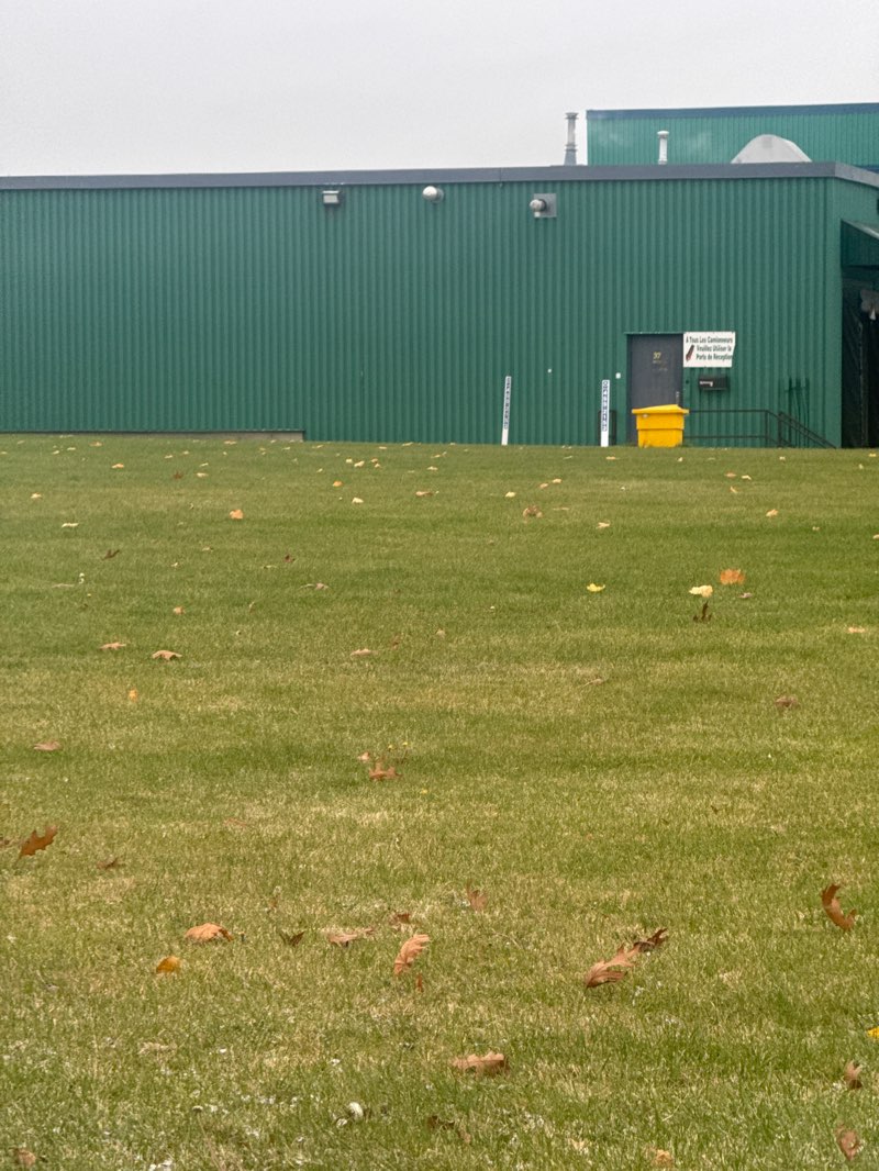 walking near me in Parc Norampac 2 in autumn