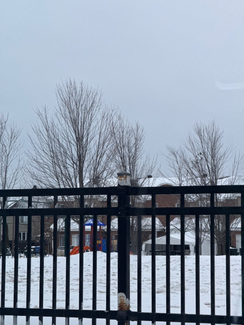 walking near me in Parc Aurèle-Joliat in winter