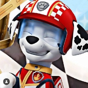 Tyler Schneider profile