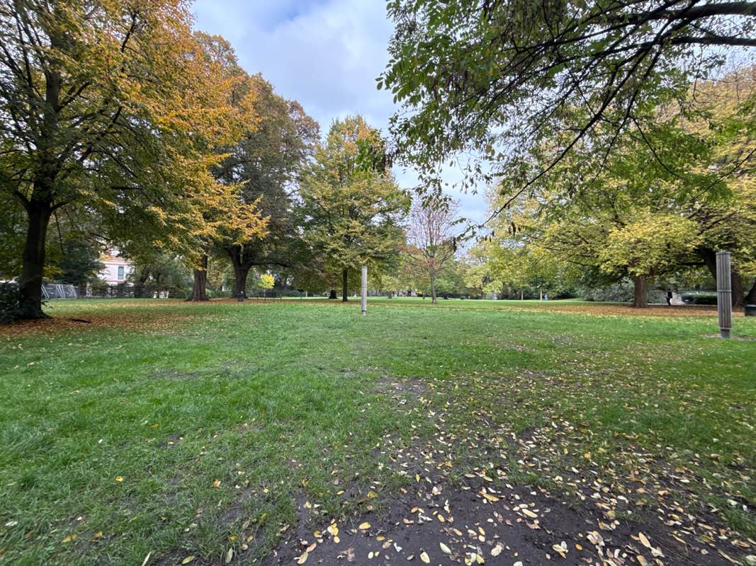 walking near me in Friedenspark in autumn