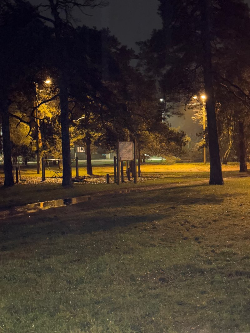 walking near me in Hiiu park in autumn