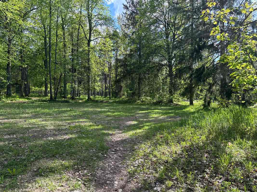 walking near me in Glehni park in spring
