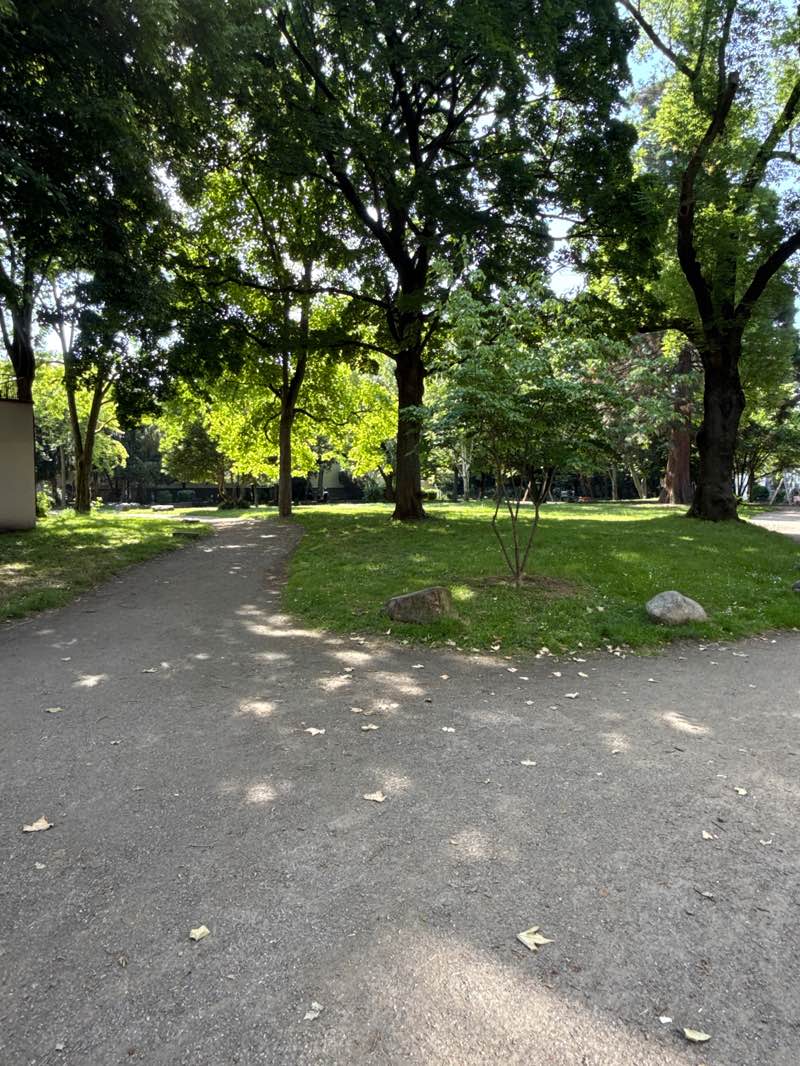 walking near me in Stadtgarten Kalk in spring
