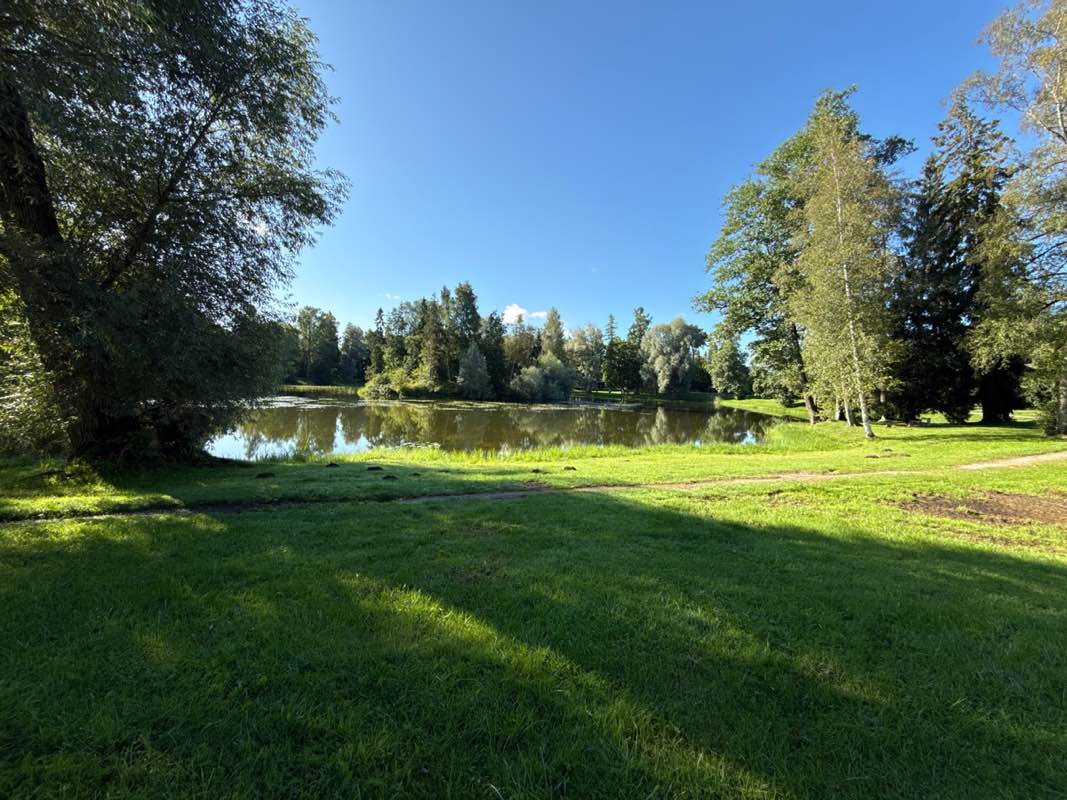 walking near me in Alu park in autumn