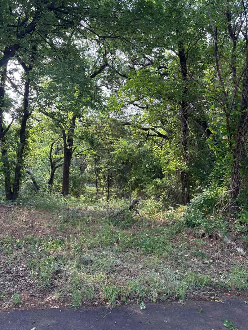 walking near me in Park Place Park in spring