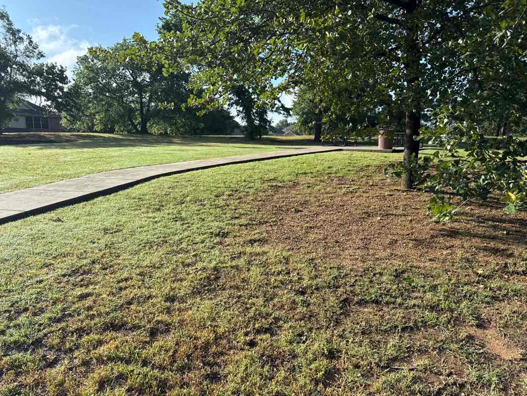 walking near me in wellington park in spring