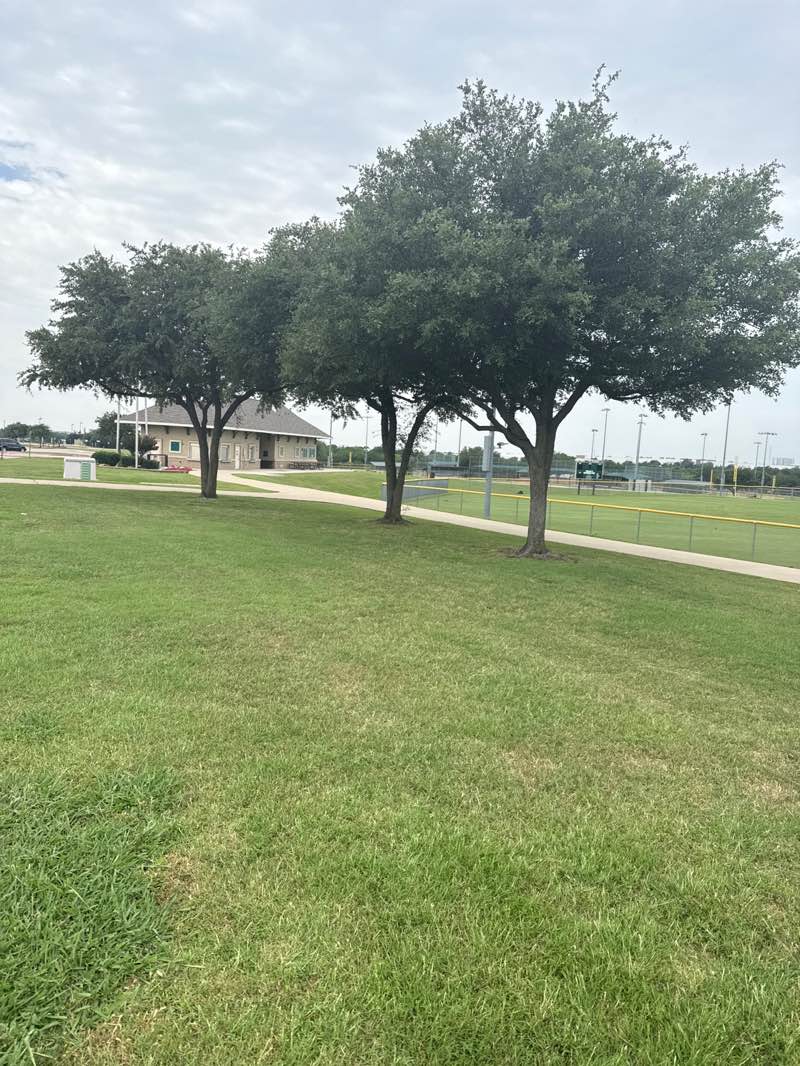 walking near me in Bakersfield Park in summer