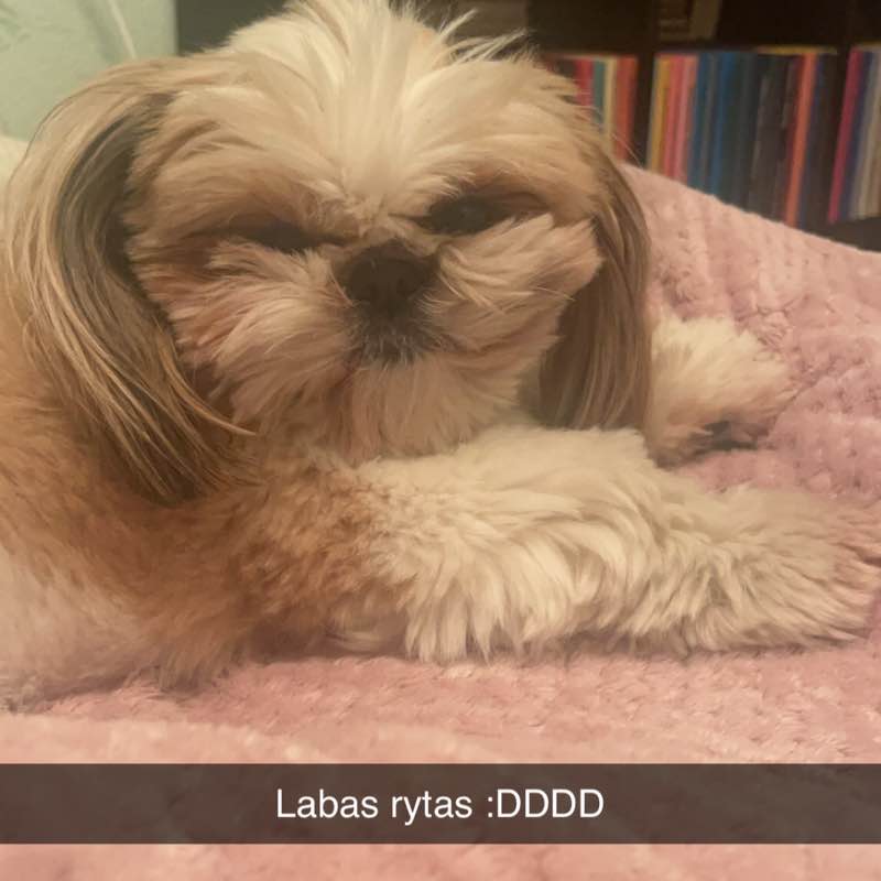 Draugai Agne post image