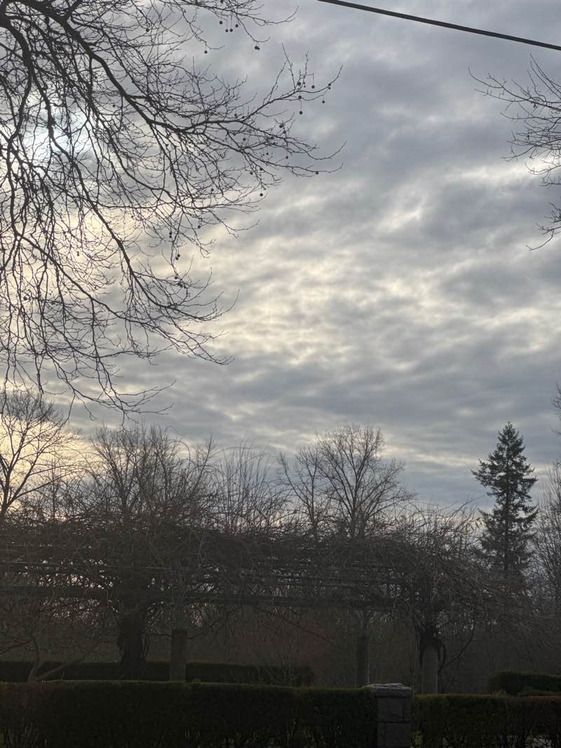 walking near me in Fleetwood Park in winter