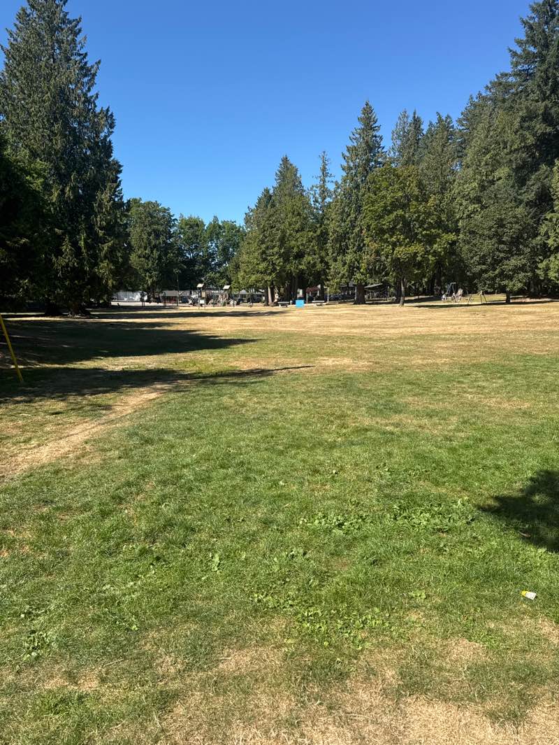 walking near me in Blue Mountain Park in autumn