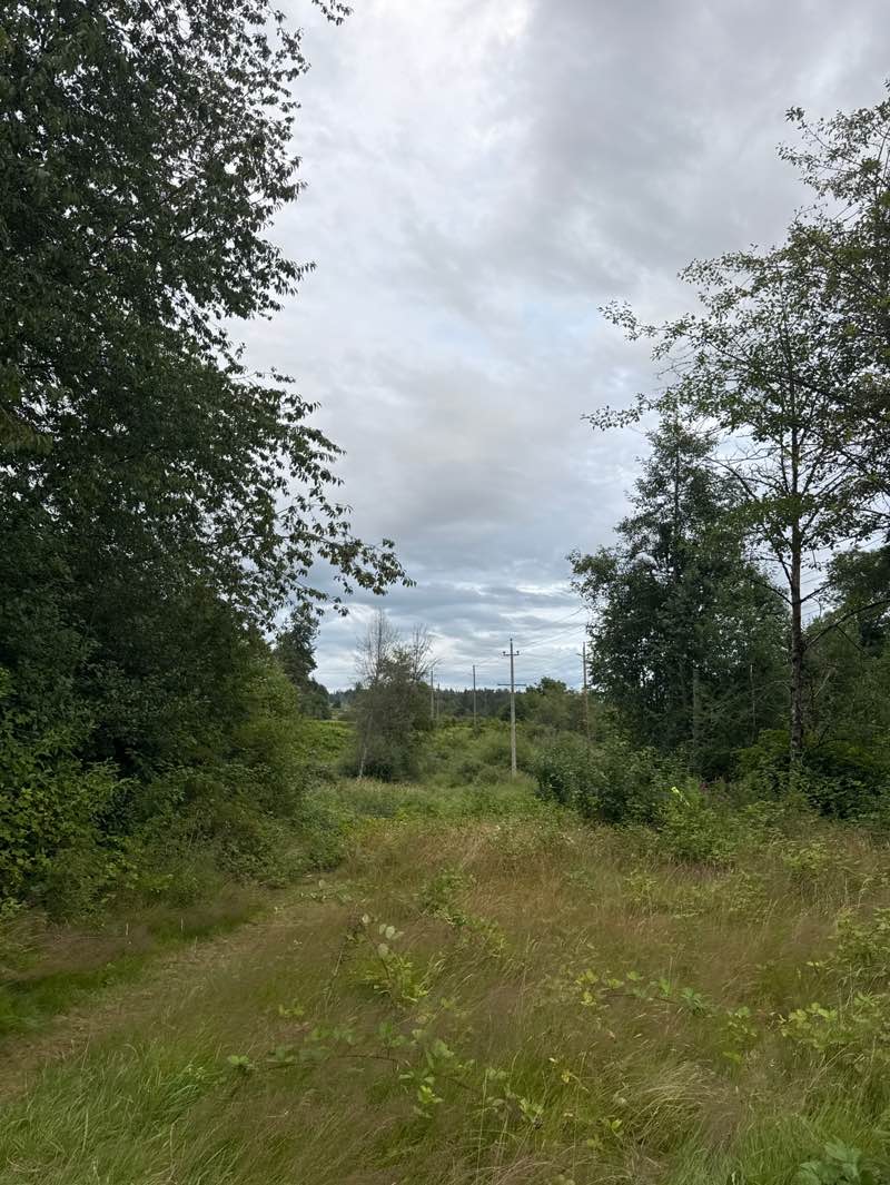 walking near me in Bothwell Park in summer