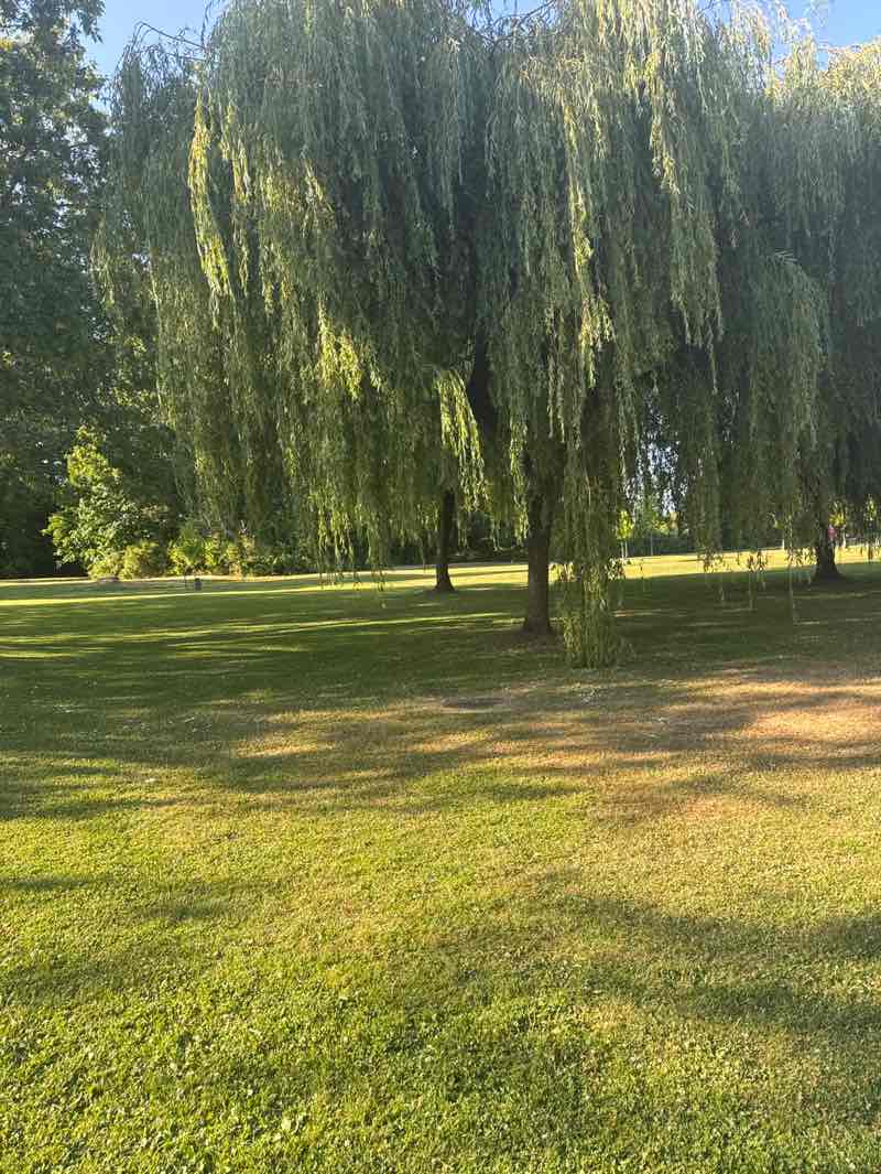 walking near me in Royal Kwantlen Park in autumn