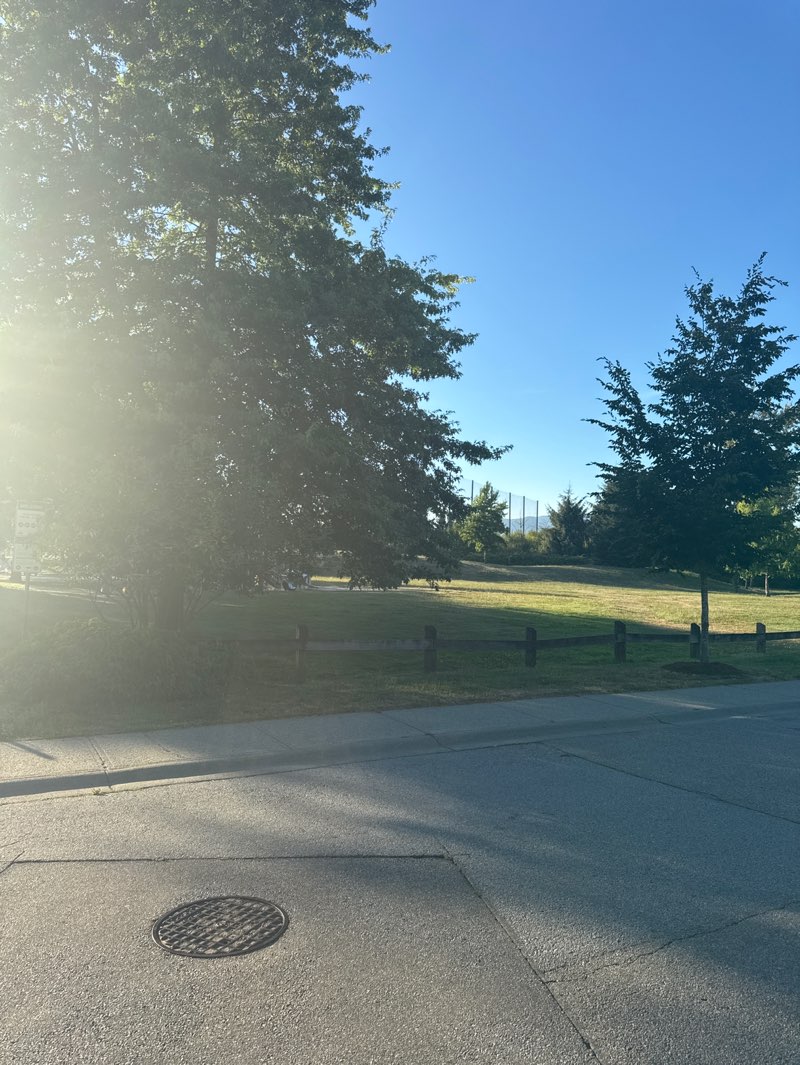 walking near me in Boundary Park in autumn
