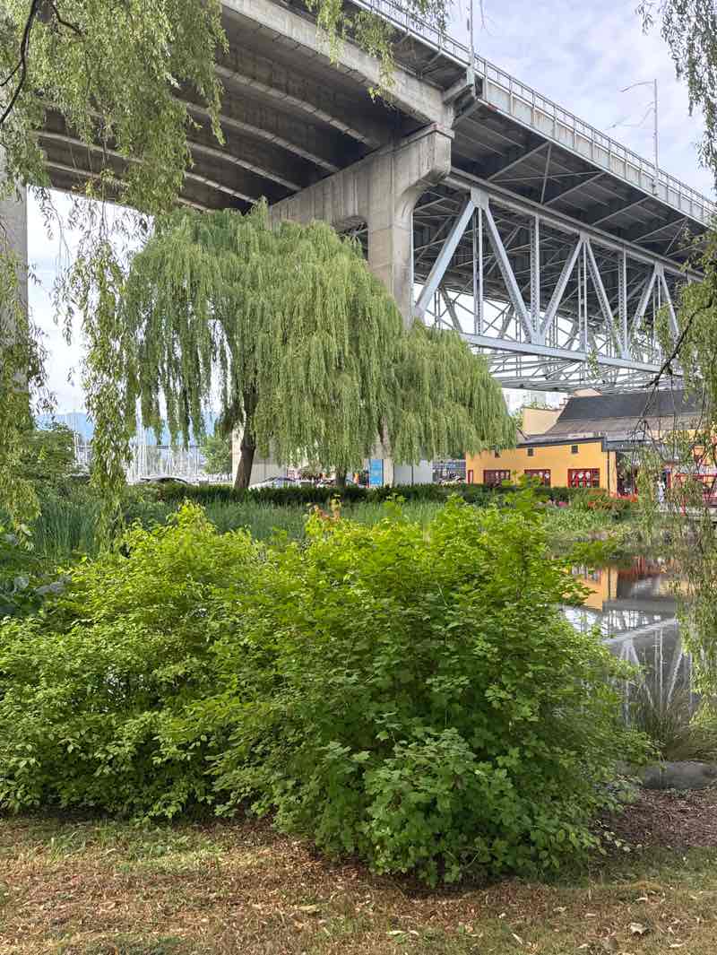 walking near me in Sutcliffe Park in summer