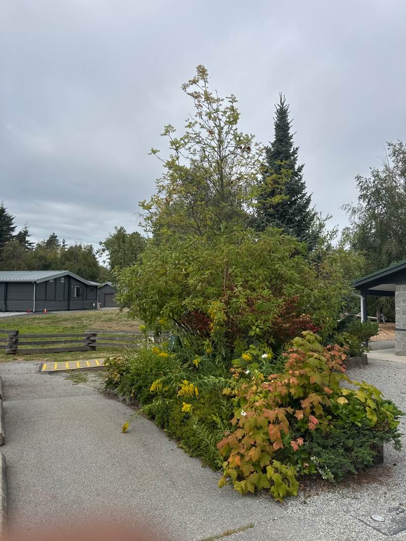 walking near me in Richmond Nature Park in autumn