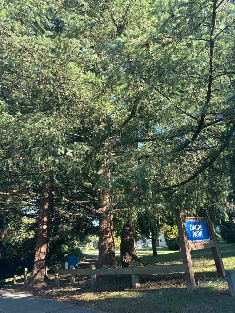 walking near me in Dacre Park in autumn