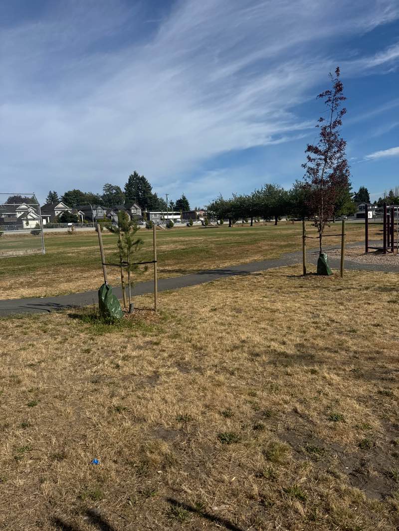 walking near me in North Delta Community Park in autumn