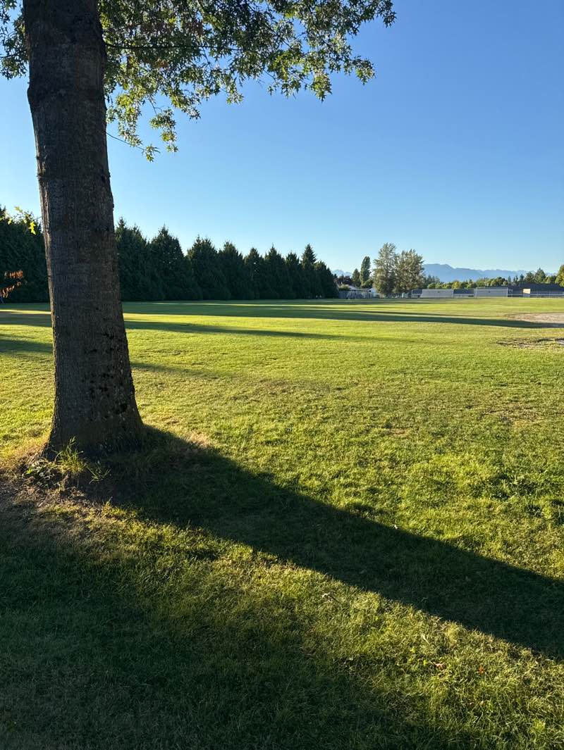 walking near me in Serpentine Heights Park in autumn