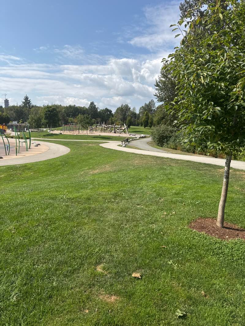walking near me in Hawthorne Rotary Park in autumn