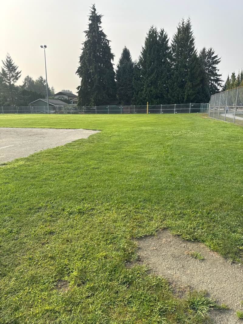 walking near me in Harris Park in autumn