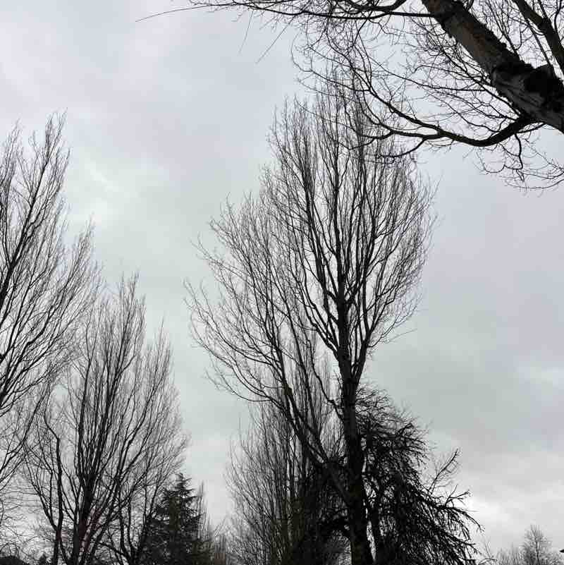 Taranjeet Singh post 1