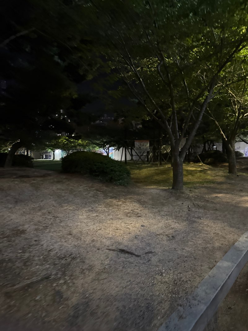 walking near me in 잔디광장 in summer